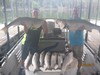 (07/01/2017) - Nice Striped Bass
